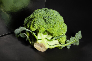 mirrored broccoli on black background