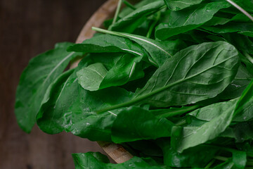 SALAD OF ORGANIC RUCULA LEAVES