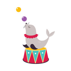 Circus Sea Calf Animal on Drum Juggling Balls Performing Trick Vector Illustration