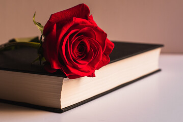 Rose and book, gifts for Sant Jordi's day - Saint George- Catalonian celebration on 23 April