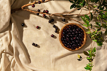 Jabuticaba fruits on a fabric base, with jabuticaba branch, sunlight, top view. Copy space