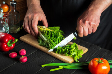 Chef or cook cuts fresh napa cabbage with knife for salad on vintage kitchen table with fresh vegetables. Cooking and restaurant or cafe concept