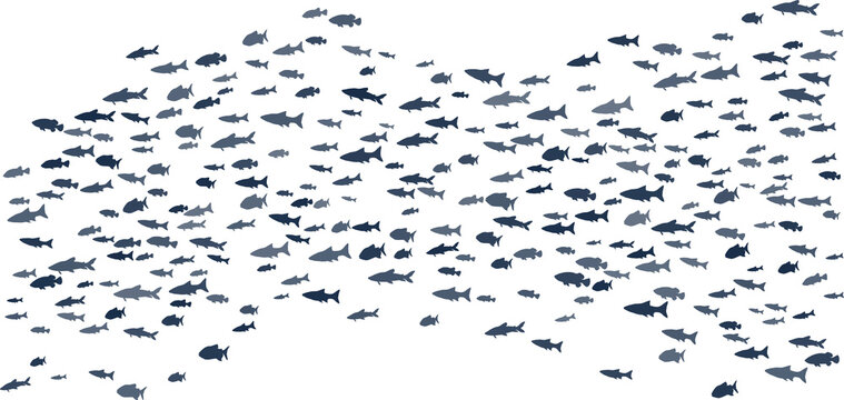 Big school of fish swimming illustration. Ocean or sea animals background.