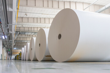 Industrial rolls placed in a warehouse