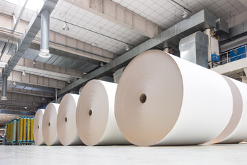 Industrial rolls placed in a warehouse