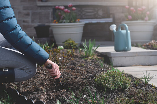 Woman is digging in a garden
