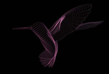 Abstract Hummingbird  on dark background. Vector illustration.