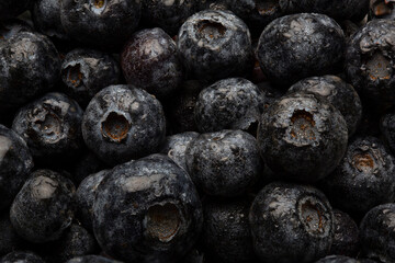 background closeup of fresh blueberries, macro photography with great detail.