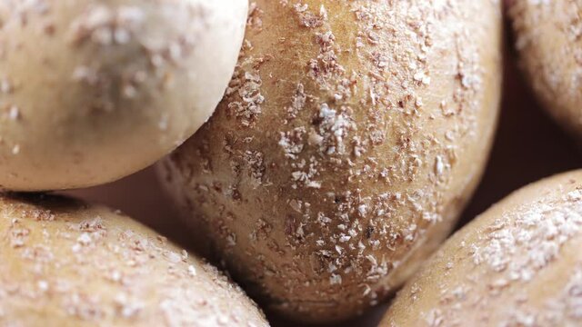Tasty bread close up footage.