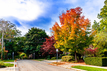 Beautiful and typical Fall day in Central Canada, ON, Canada