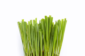 Fresh lemongrass leaves on white