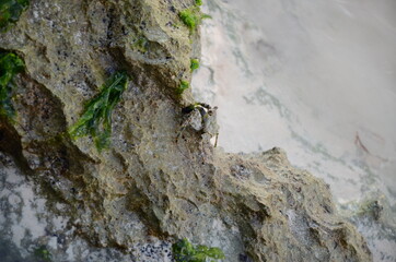 rocks