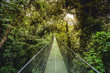 jungle forest close to arenal volcano national park, costa rica © Kay Wiegand
