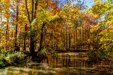 Fototapeta na wymiar Golden reflections of the Fall on the creek inside the woods, Central Canada, ON, Canada
