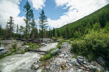 Fototapeta na wymiar Beautiful scenery with log bridge across powerful mountain river among stones and boulders near forest mountains. Scenic mountain landscape with wooden bridge over turbulent river and coniferous trees
