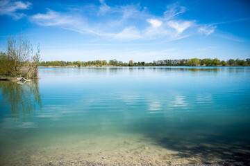 lake and forest