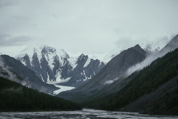 Atmospheric alpine landscape with mountain streams from snowy mountains in overcast weather. Bleak monochrome scenery with glacier tongue in mountain valley in rainy weather. Glacier among low clouds.