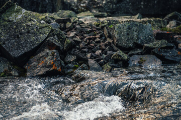Scenic nature landscape with golden sunny shine in clear water stream. Atmospheric mountain scenery with mossy stones in transparent mountain creek. Mountain stream among rocks with mosses and lichens