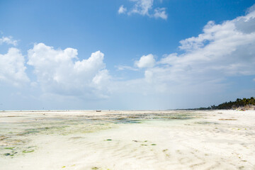 Zanzibar white sand beach landscape, Tanzania, Africa panorama