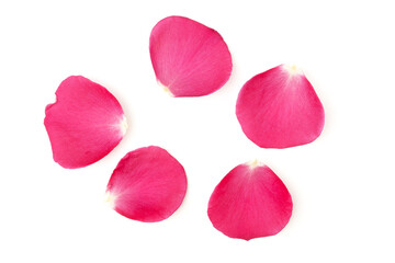 Beautiful pink rose petals isolated on white background. Selective focus.