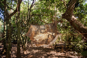 Stretched animal skin.