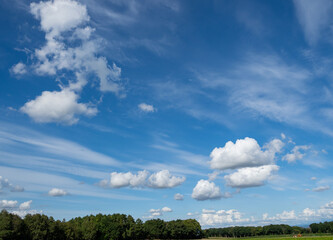 青空と白い雲が広がる夏の北海道の農地