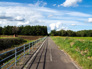 夏の雲と北海道のサイクリングロード