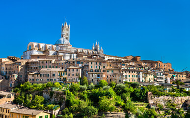 Fototapeta premium The Cathedral of Siena in Tuscany, Italy