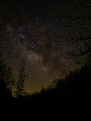 Fototapeta premium Milky Way in Ouachita National Forest, Arkansas