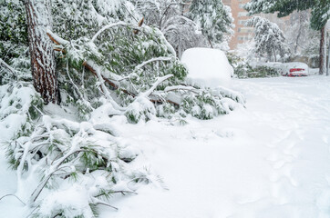 Streets of Madrid, Spain blanketed with the heavy snowfall during Storm “Filomena”