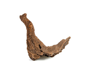 dry branches of tree isolated on white background