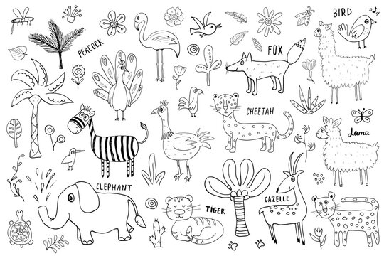 Animal Doodles Set. Cute Animals sketch. Hand drawn Cartoon Vector illustration