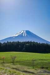 静岡県朝霧高原からの富士山