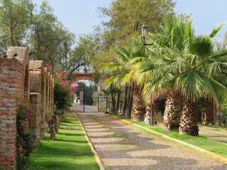 Fototapeta premium Entrance to Mexican hacienda, archway