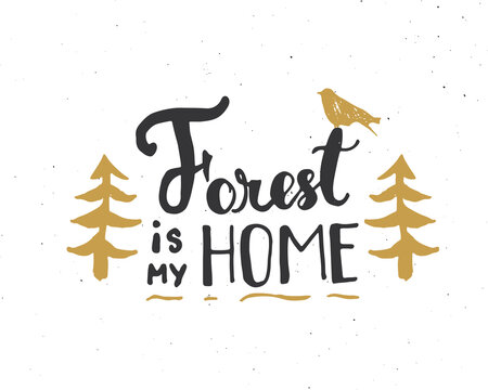 Forest is my home lettering handwritten sign, Hand drawn grunge calligraphic text, outdoor hiking adventure and mountains exploring, Vector illustration