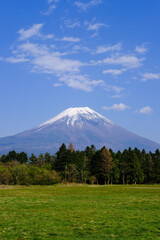 Fototapeta premium 静岡県朝霧高原からの富士山