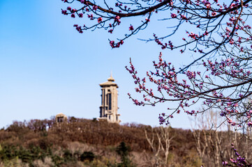 Spring landscape of Jingyuetan National Forest Park in Changchun, China
