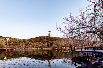 Spring landscape of Jingyuetan National Forest Park in Changchun, China