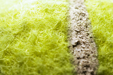 Extreme Closeup Of Tennis Ball Material