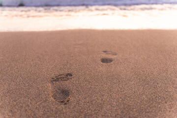 Footprints in the sand by the sea. In the sunset light, the footprints follow the sand into the sea.