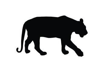 Tiger vector silhouette illustration isolated on white background. Big wild cat. Bengal tiger. Tatoo sign.