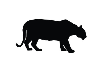 Tiger vector silhouette illustration isolated on white background. Big wild cat. Bengal tiger. Tatoo sign.