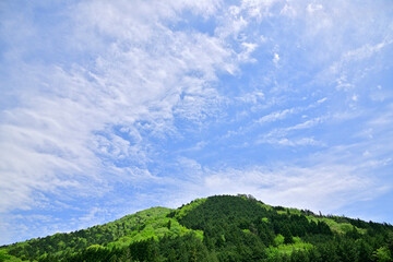 新緑の山々と青空と雲