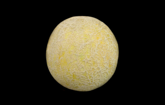 Close-up shot of Musk melon isolated on black.
