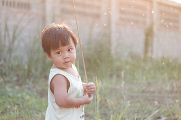 little child playing in natural