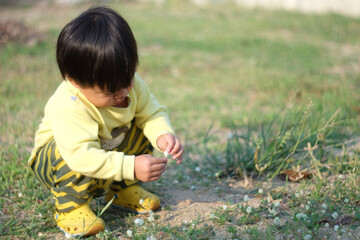 little child playing in the grass