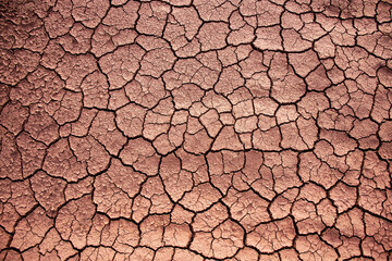 texture with dry and cracked soil