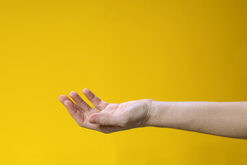 Fototapeta na wymiar Woman hand holding or taking something on yellow background. Open hand gesture
