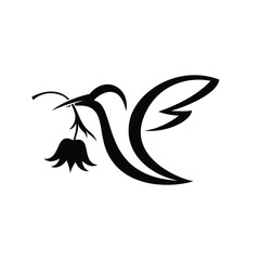 Flying hummingbirds vector illustration. Collibri corporate logo