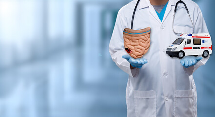 Doctor open two hand and show organ on palm sign